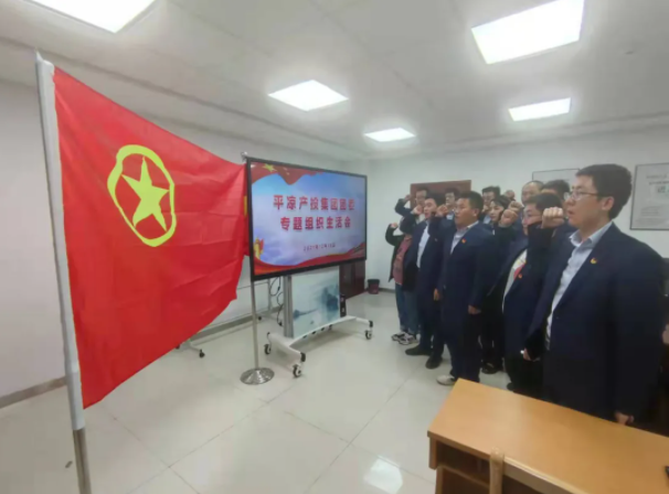 必一·运动(B-Sports)团委召开2021年度专题组织生活会(图5)