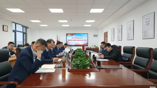 必一·运动(B-Sports)召开党史学习教育专题民主生活会(图1)